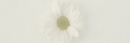 halimatussiska's profile banner image