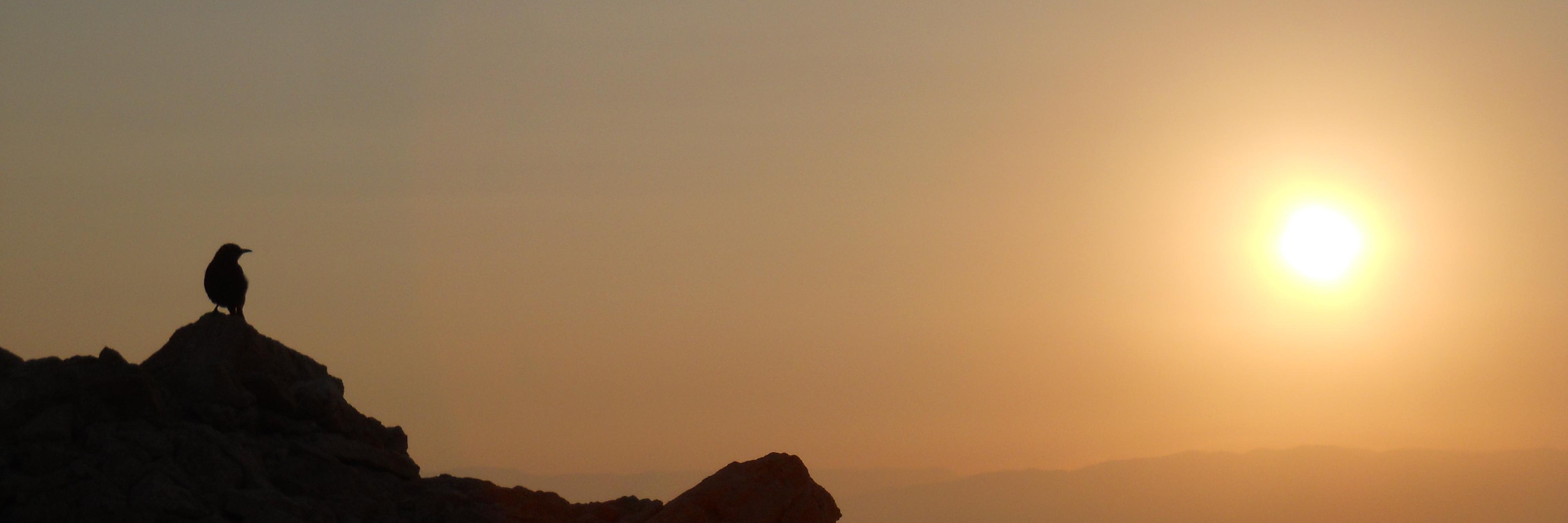rlj710's profile banner image
