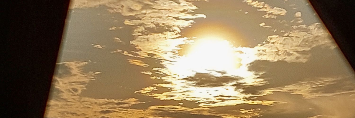 ari_ainaa's profile banner image