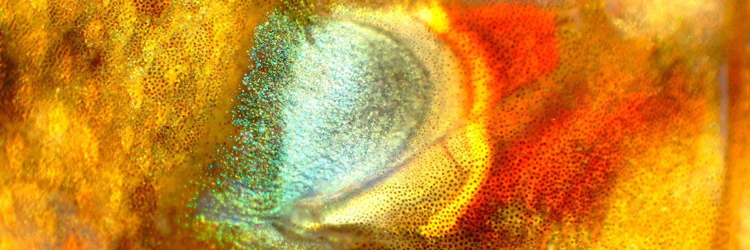 high_wind77's profile banner image