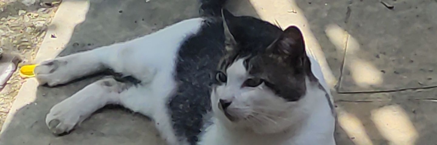 AddinShaffiq's profile banner image