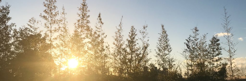 naokeap's profile banner image