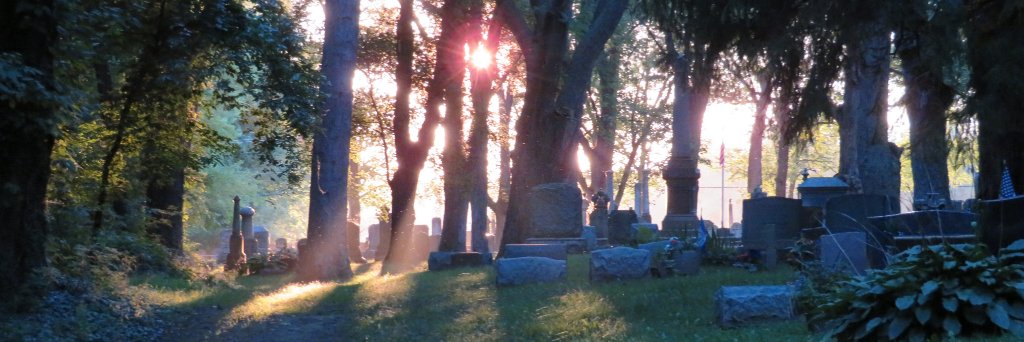 ParamysticalOne's profile banner image