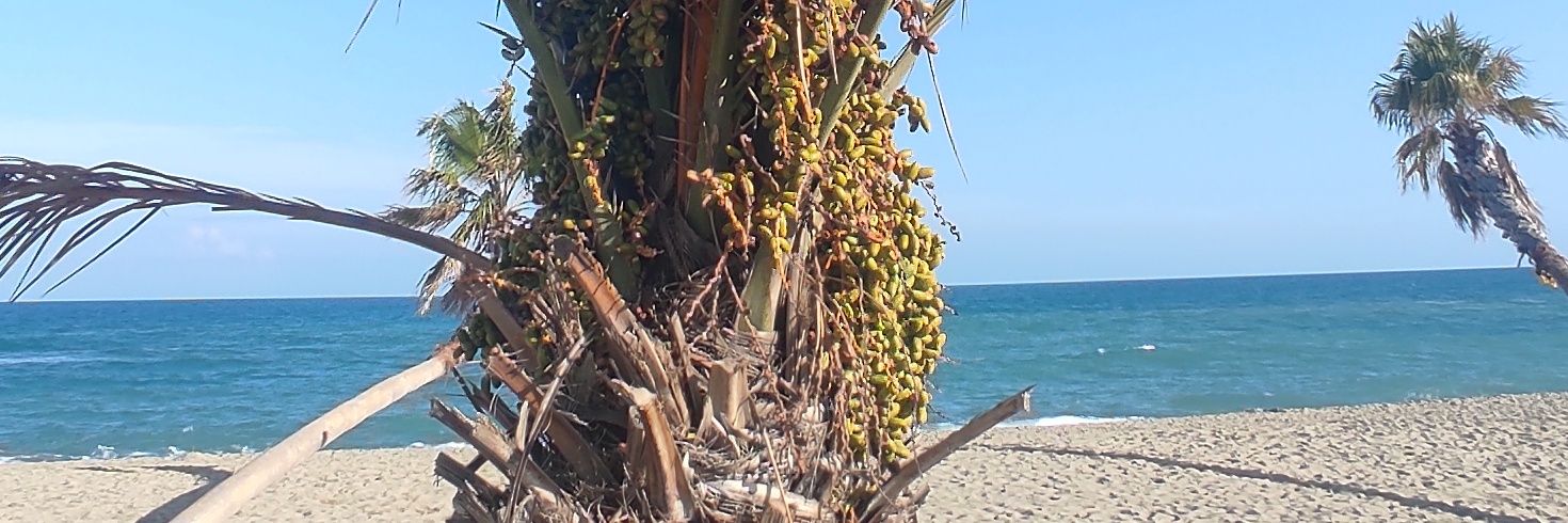 SamSamdu24's profile banner image