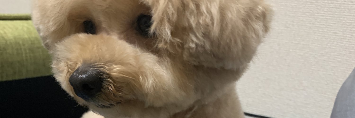 XXXXX_M_F's profile banner image