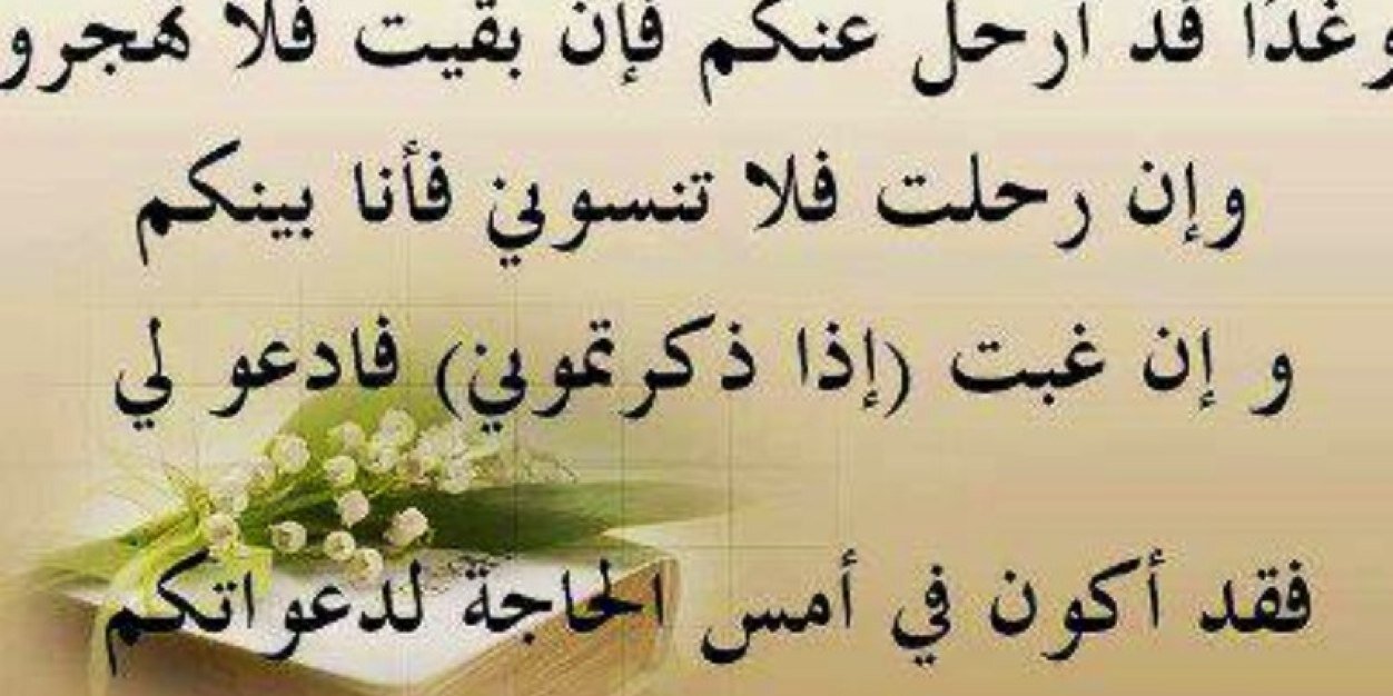 S naimi banner