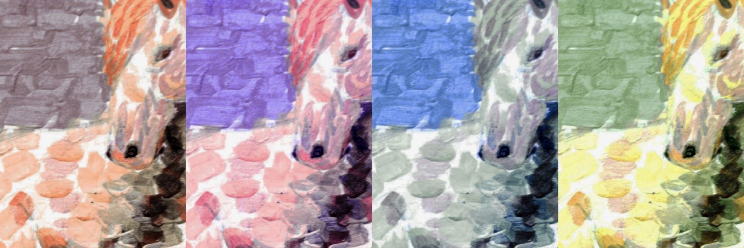 Julián Román Saracho banner