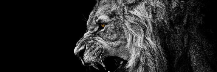 Touchdown Geebuss banner