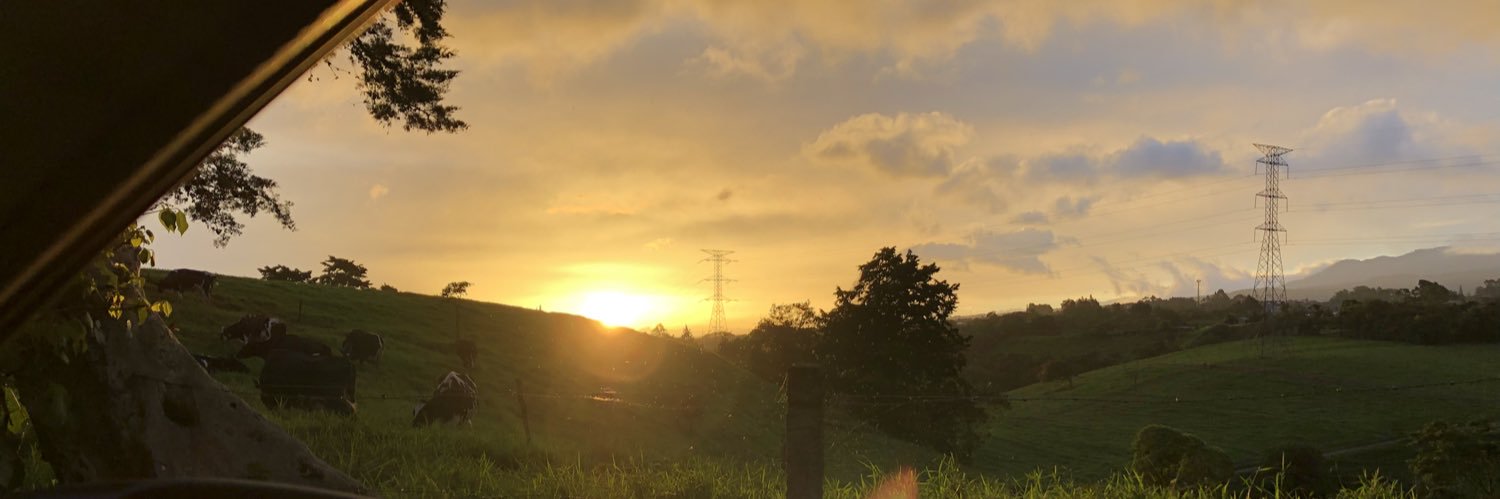 cvalerin's profile banner image