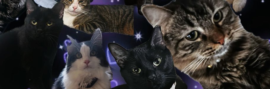 sssarahig's profile banner image