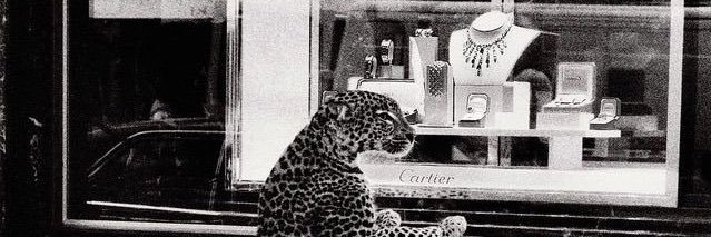 efttmh's profile banner image
