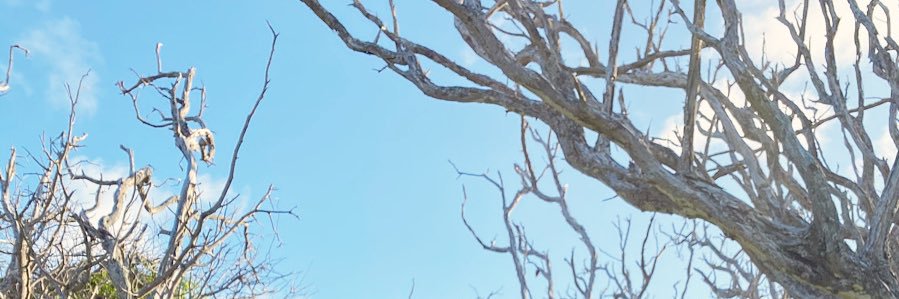 gwendollyyn's profile banner image