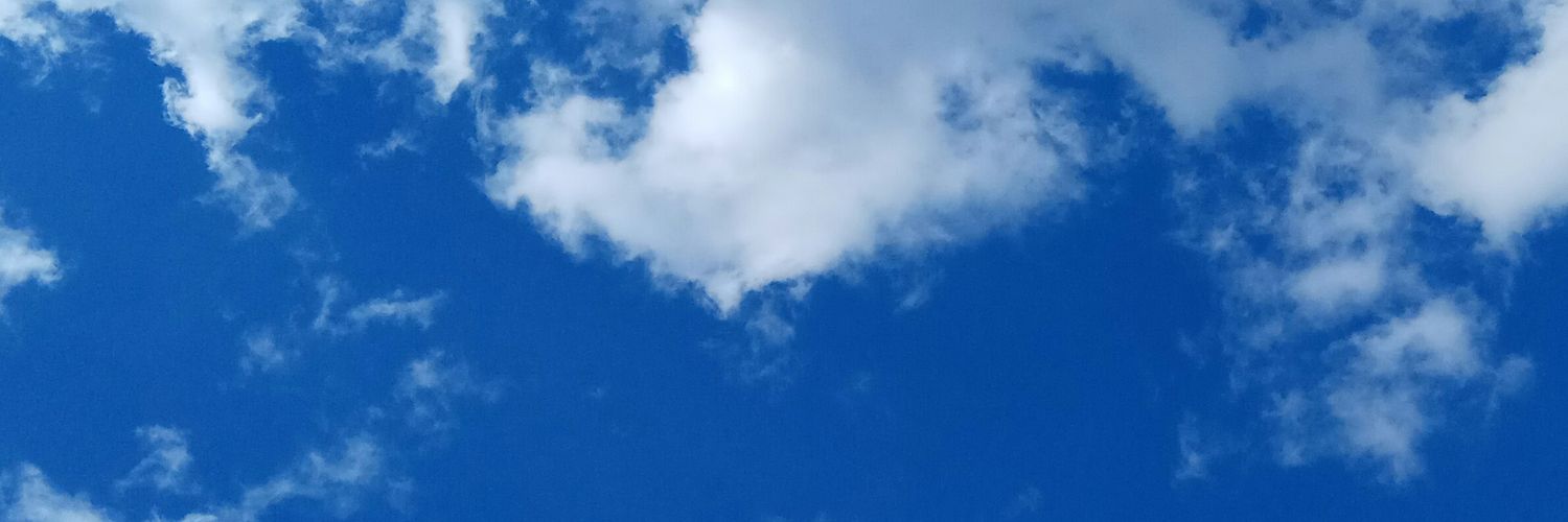 sandravico27's profile banner image