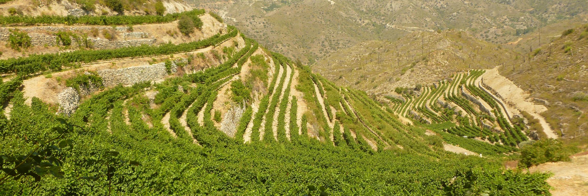 Ekaterina — книгопродавец banner