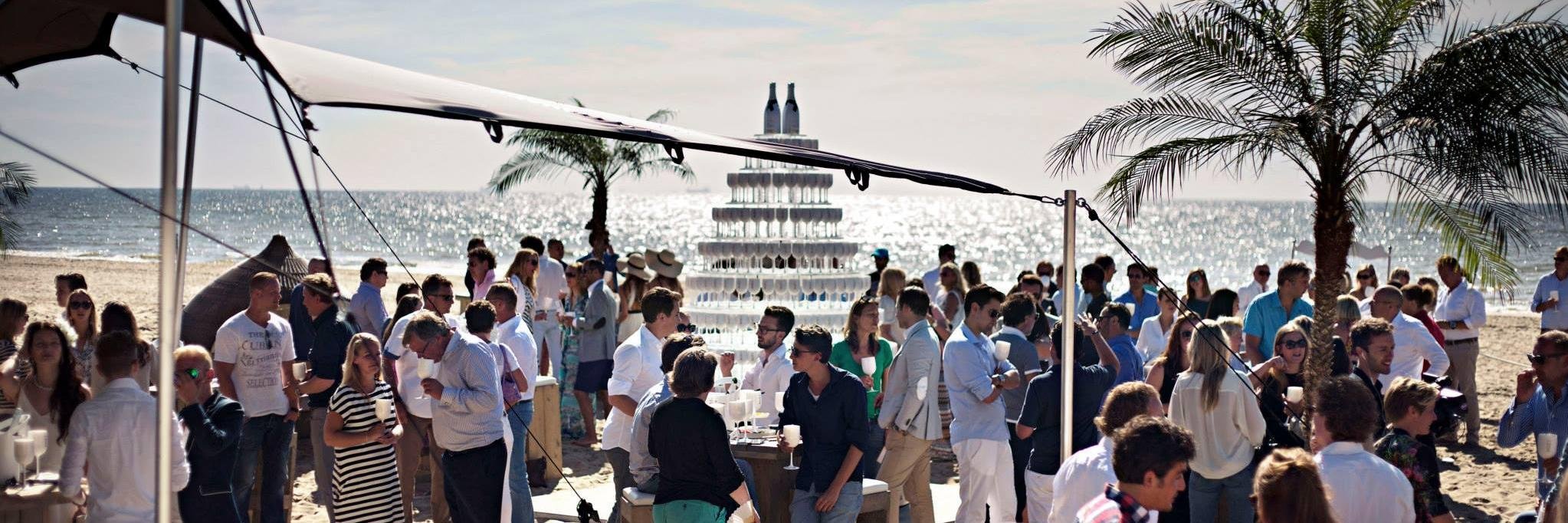 Vandennorth&company banner