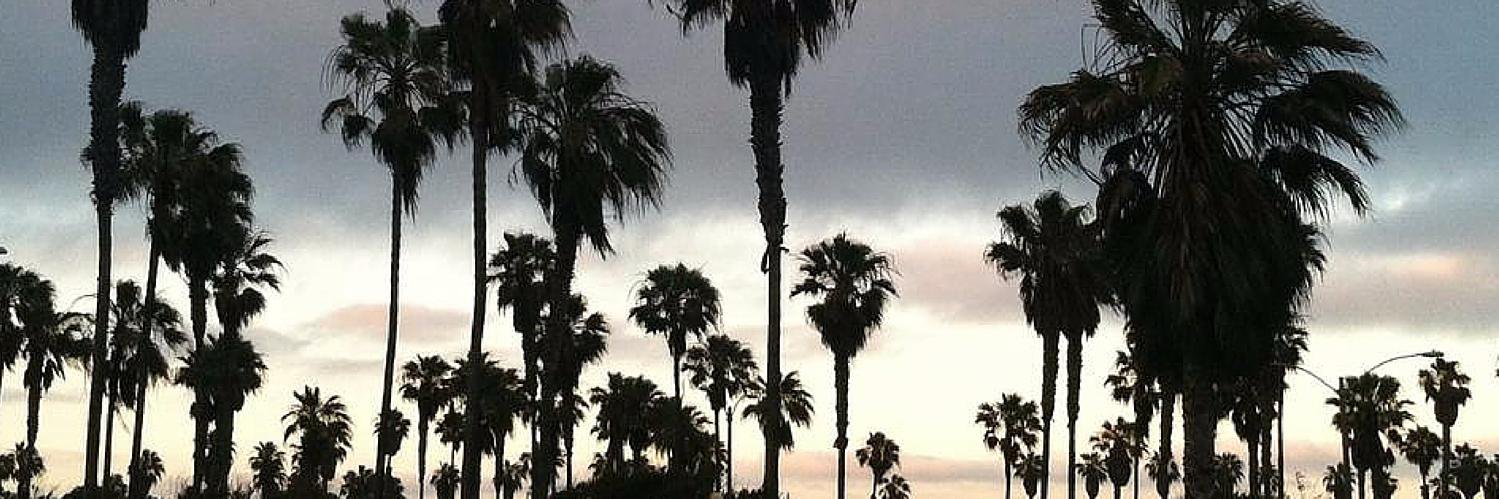 Jess banner