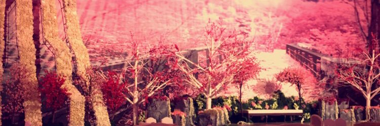 Dhawa83's profile banner image