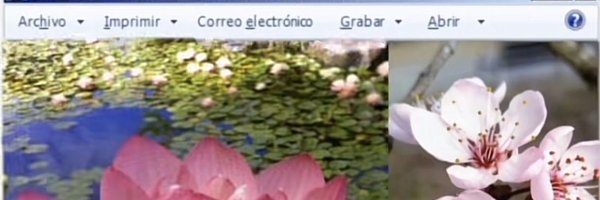 dabeldot Profile Banner