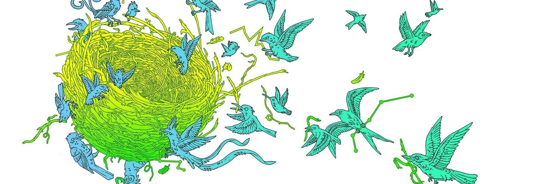 Nicolas Figay banner