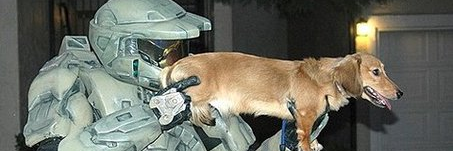 lightdog124's profile banner image