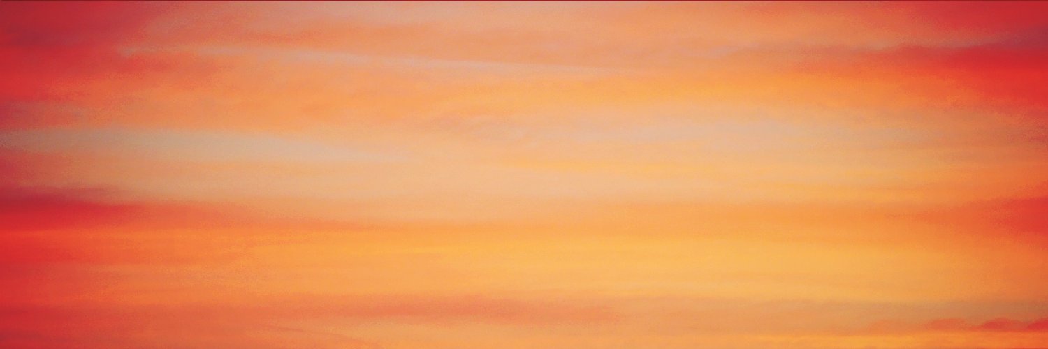 AriOnofre's profile banner image