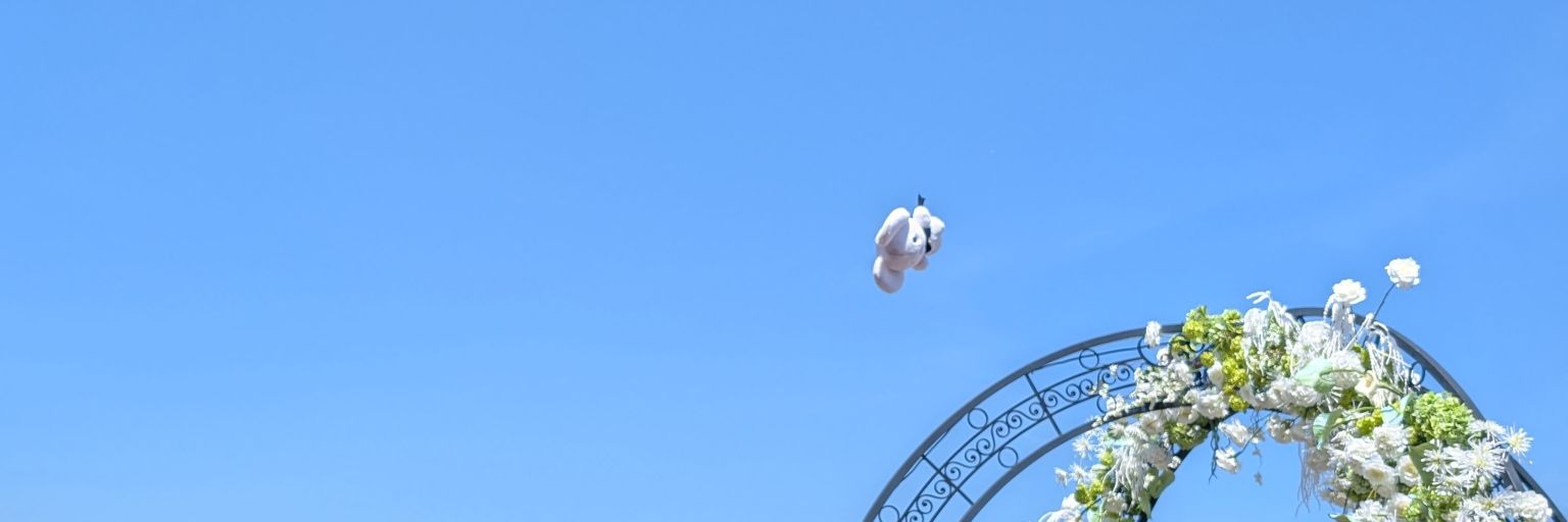 0802naru3's profile banner image