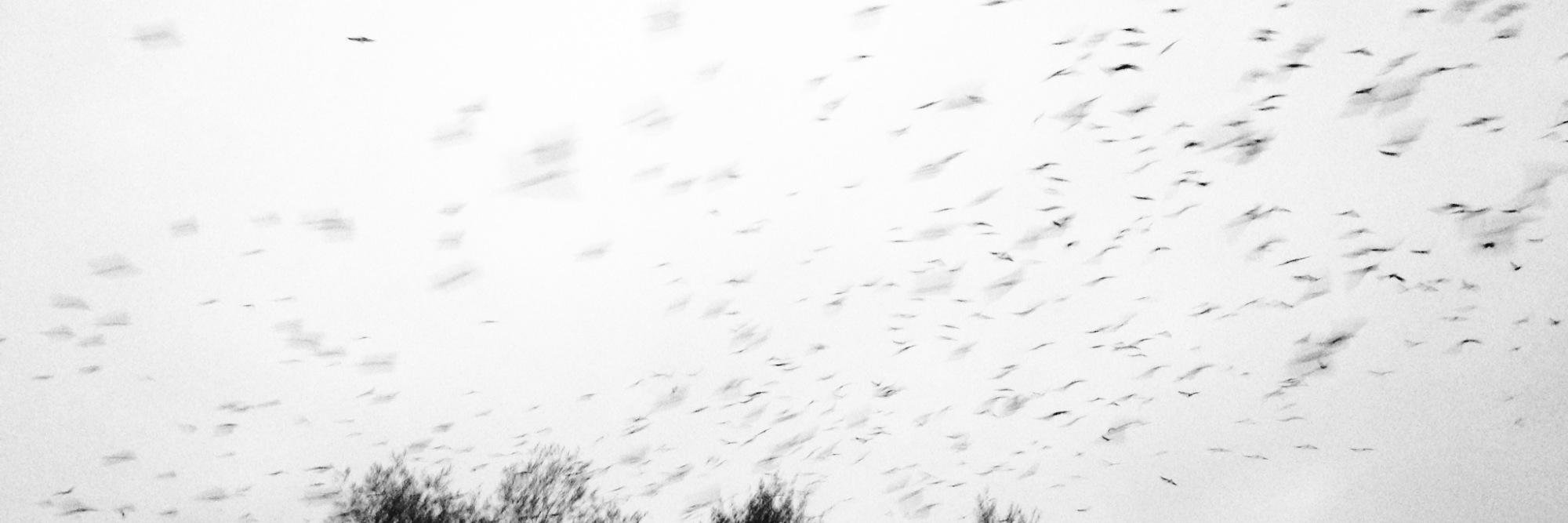 UlrikeFrenzel's profile banner image