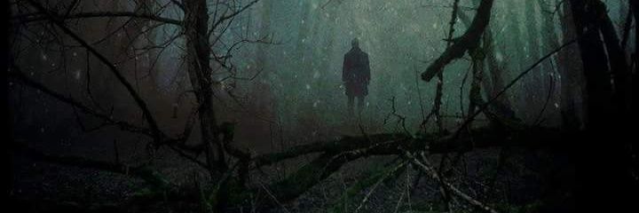 okilolipoli's profile banner image