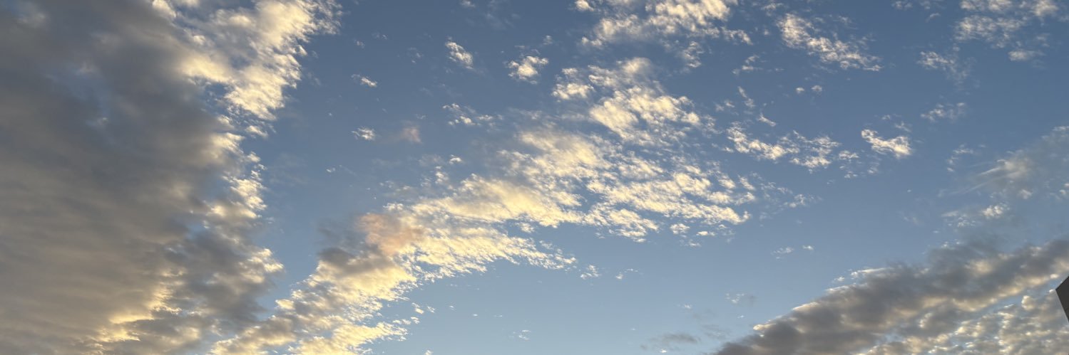 longsleep_bear's profile banner image