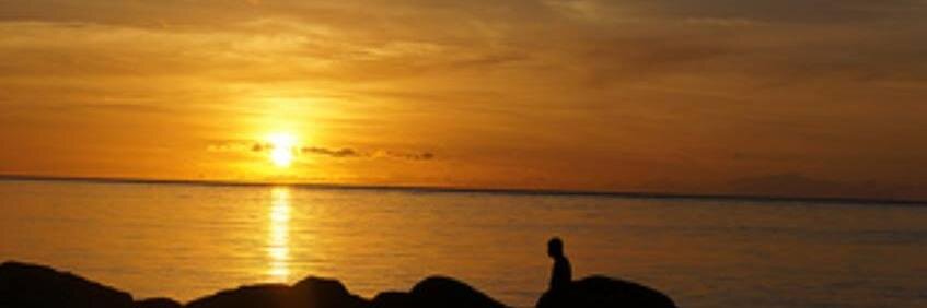 TrijanSingh's profile banner image