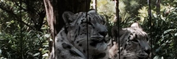 dhalpern10 Profile Banner