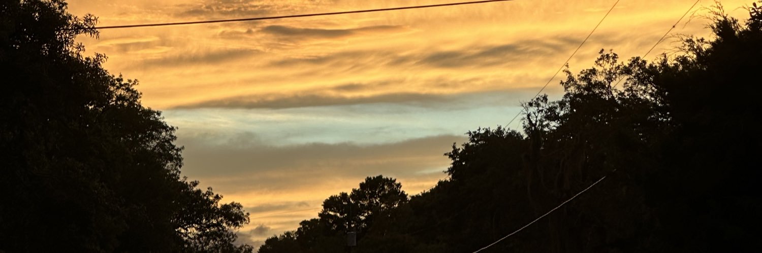 miadevoll's profile banner image
