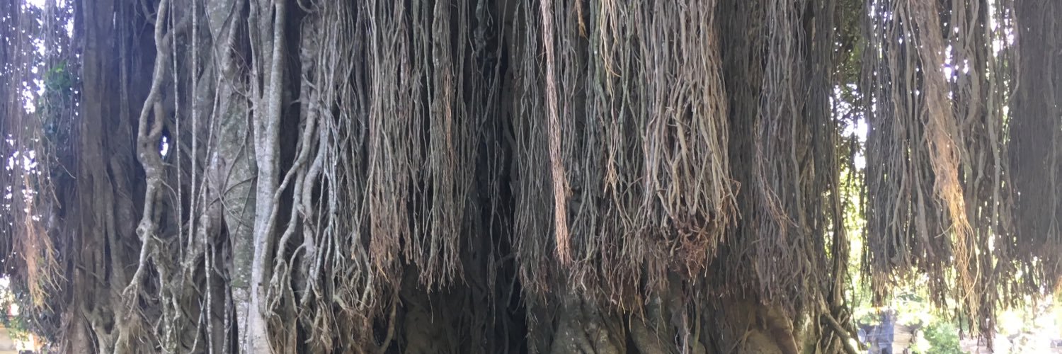 Harken68's profile banner image