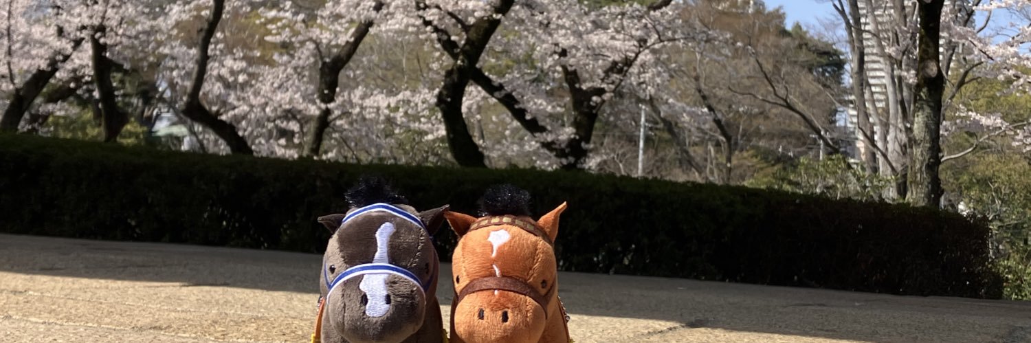 the-allow【放牧】　想定→中山GJ banner