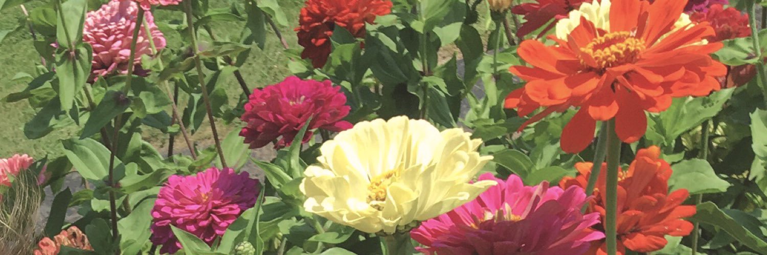 nicolekweber_'s profile banner image