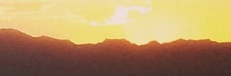 musegrl's profile banner image