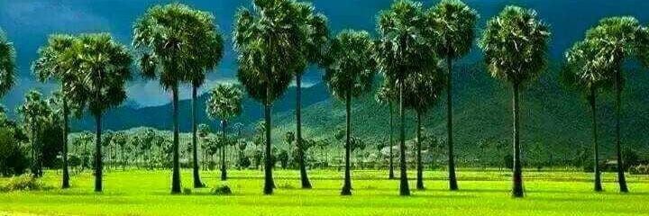 ajithdiv's profile banner image