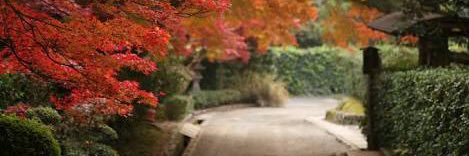 nao-controller.panda banner