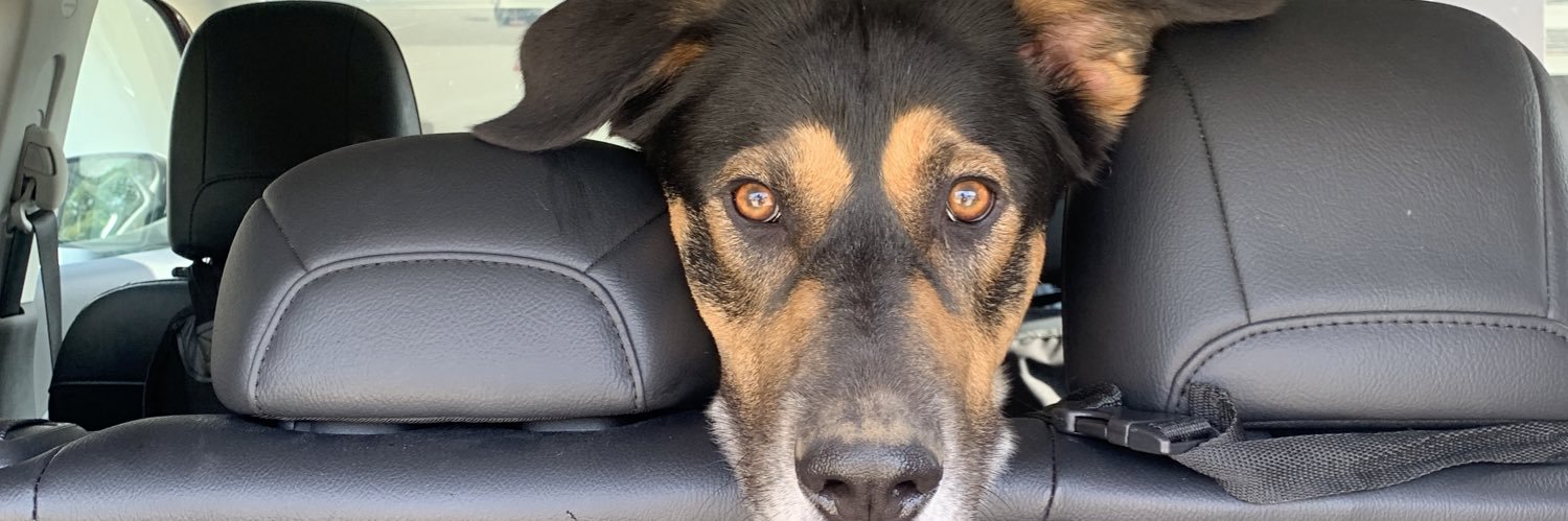 Yesenia Gomez banner