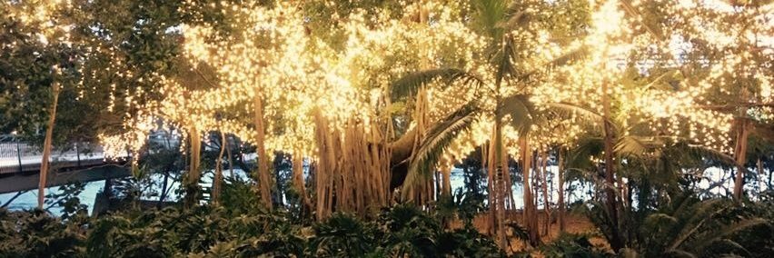 MissSingh09's profile banner image
