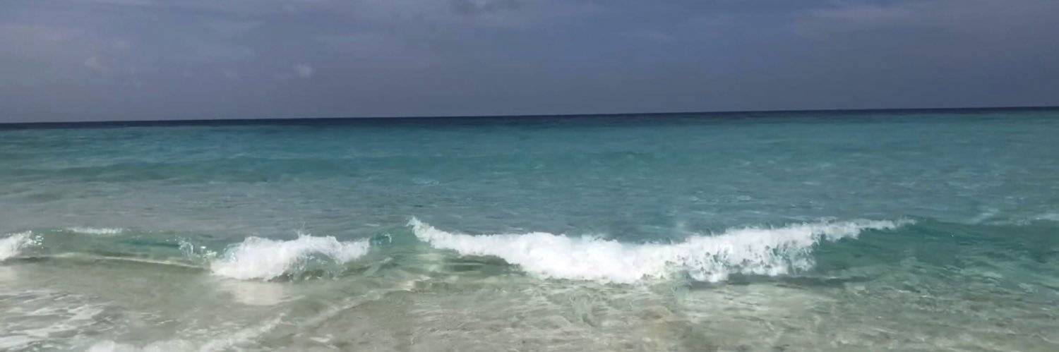 M_dnastygal's profile banner image