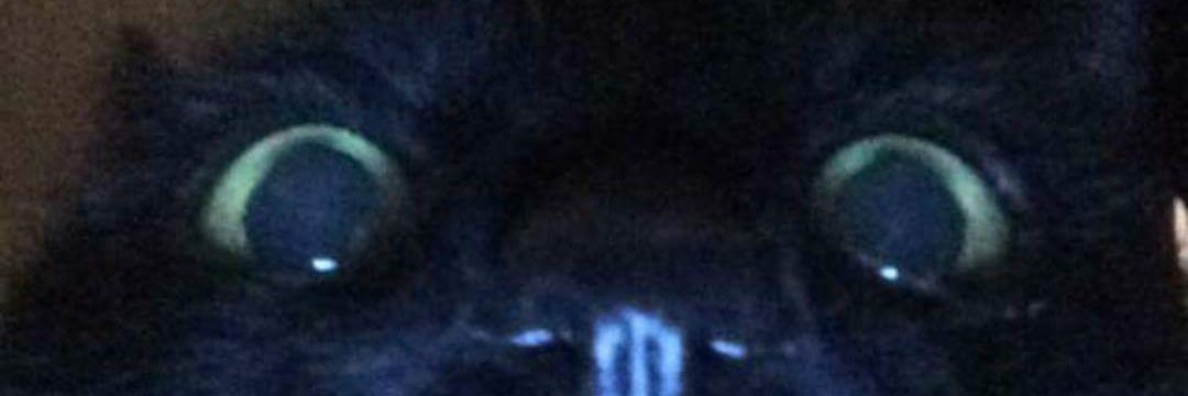 Hamidon59's profile banner image