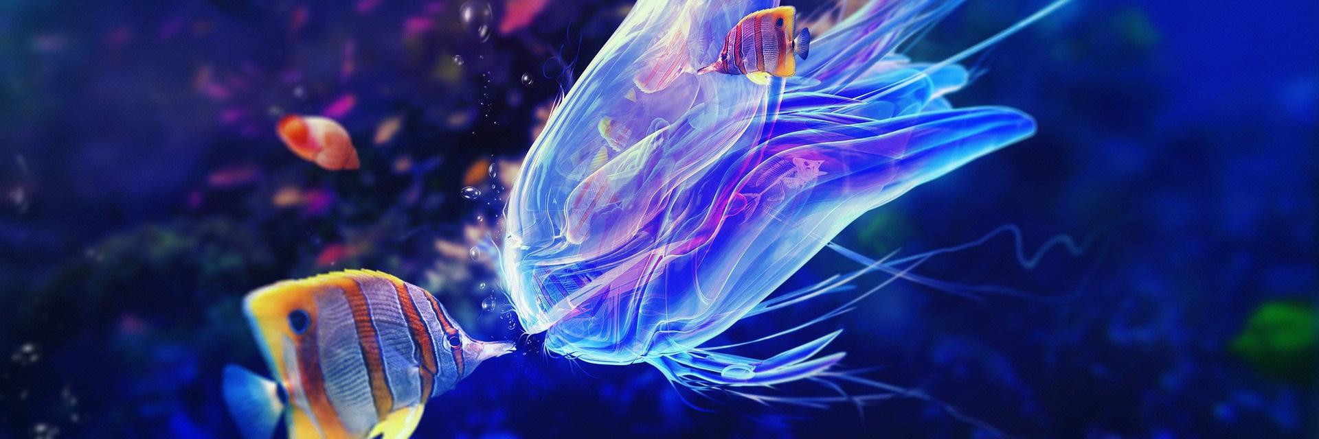 Quehl's profile banner image