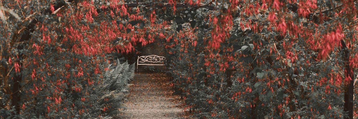 hannahkryan's profile banner image
