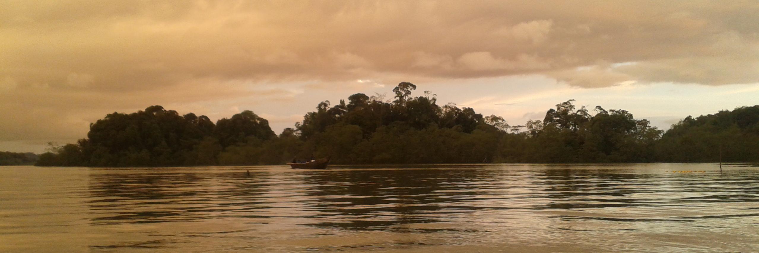 natorestrepo's profile banner image