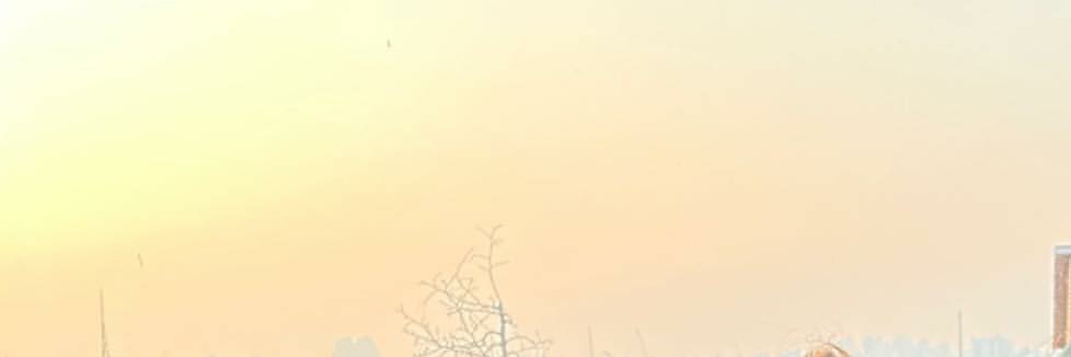hi_sheul's profile banner image