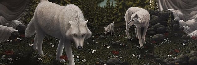 Embry Aka Before-After banner