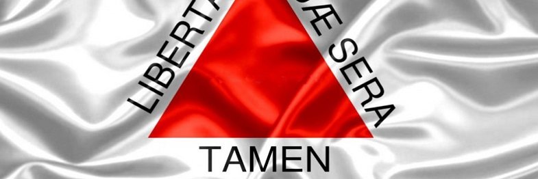 Afonso Tôrres banner