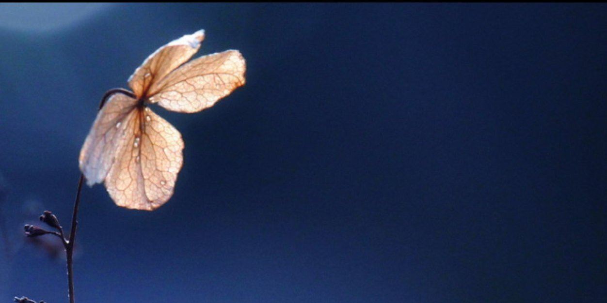 Anooo44's profile banner image
