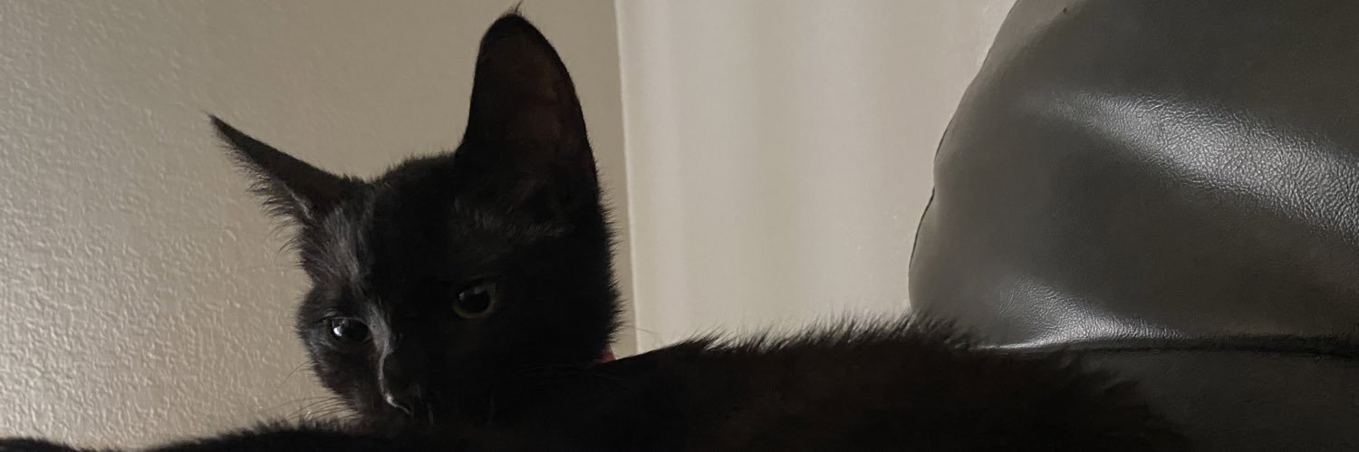_Shaaaaaaaa13's profile banner image